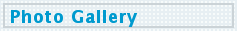 Photo Gallery